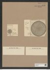 Coscinodiscus decrescens var. venustus Grun. (de-Toni-Nr.: Genus 202, Species 4989) Zeichnungen Sammlung Grunow Nr. 8705 (NHMW-BOT-W0378272)